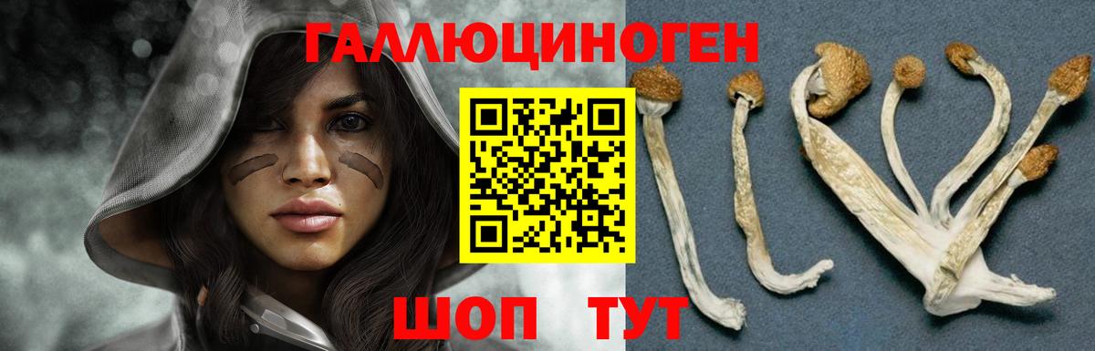 Псилоцибиновые грибы Psilocybine cubensis  Вход с VPN  Таганрог 